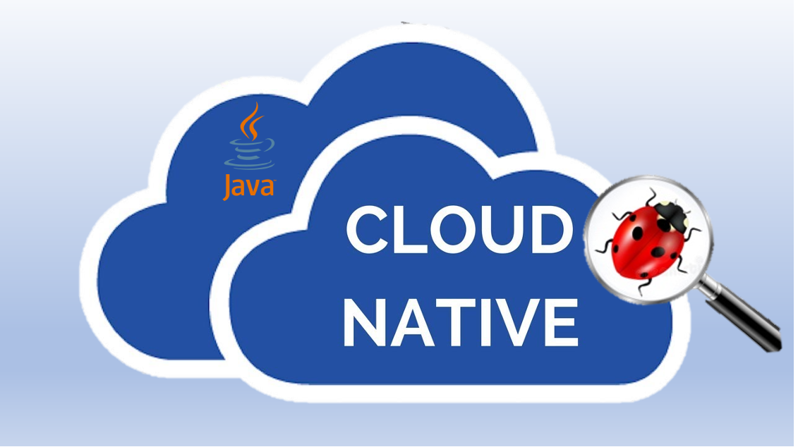 NativeJDB