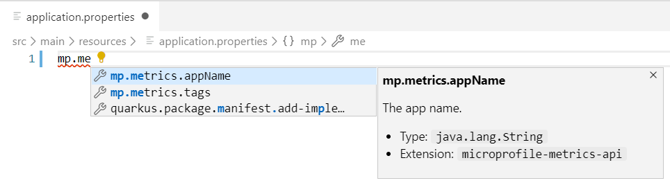 MicroProfile Metrics properties support